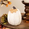 Northlight Knitted Fall Harvest Pumpkin Decoration - 6.25" - Beige - 2 of 4