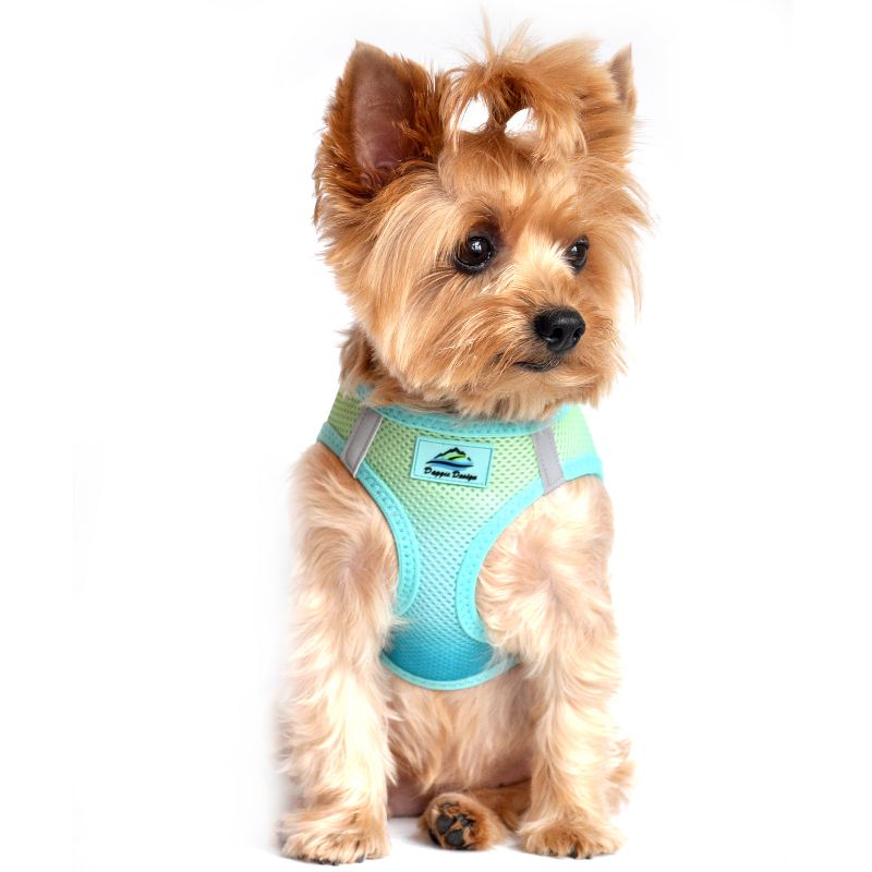 Doggie Design American River Choke Free Dog Harness Ombre Collection-Aruba Blue, 5 of 6