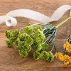 Transpac Faux Spring Floral Pick Green Artificial Stems for Home Decorations Perfect for Spring Decor - 2 of 2