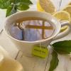 Bigelow Green Tea Bags with Lemon - 20ct - image 2 of 4
