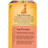 Yogi Tea - Peach DeTox Tea -  64 ct, 4 Pack - image 2 of 4