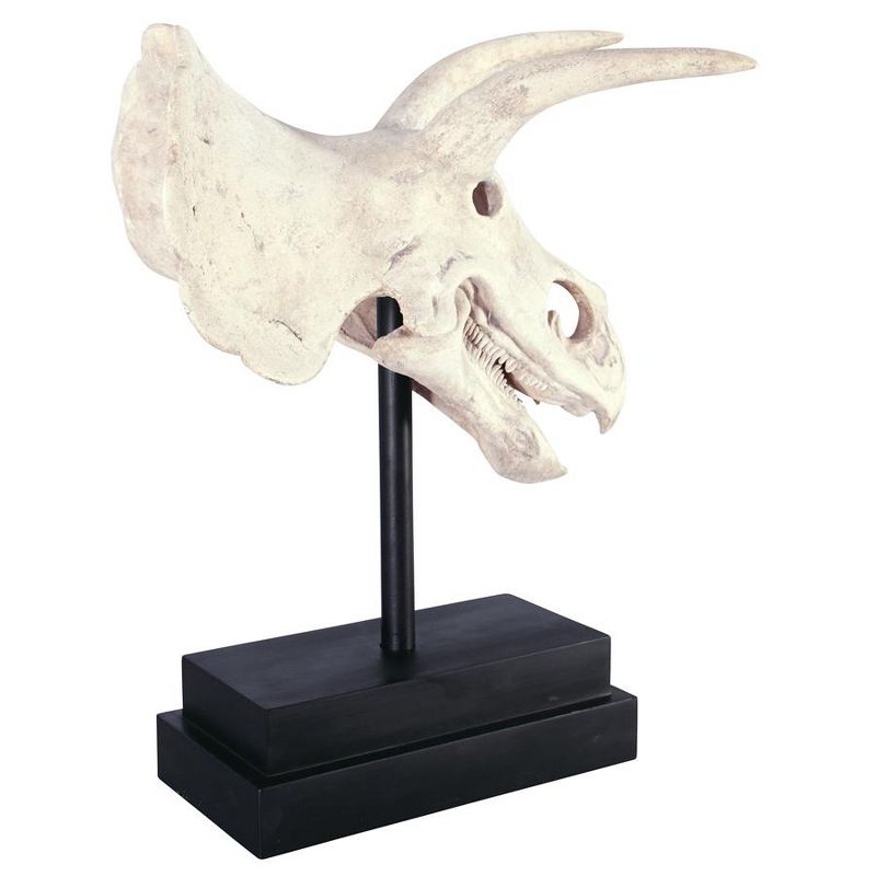 Design Toscano Triceratops Dinosaur Skull Fossil Statue on Museum Mount, 4 of 10