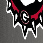 georgia bulldogs uga