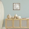 Stupell Industries Beige Nautilus Pattern, 18" x 18" - 2 of 4