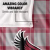 Saint Joseph'S University Campus Plaid Spirit Silky Touch Super Soft Throw Blanket 50x60 - 4 of 4
