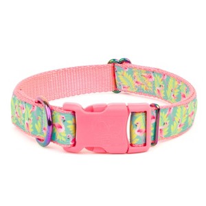 Country Brook Petz Deluxe Ribbon Dog Collar, Whimsical Nature Collection - 1 of 4