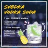 SVEDKA Vodka - 750ml Bottle - image 4 of 4