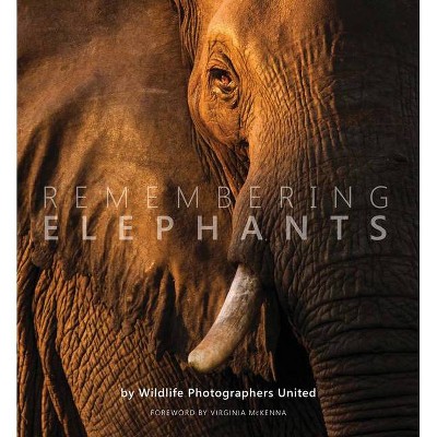 Remembering Elephants - by  Margot Raggett (Hardcover)