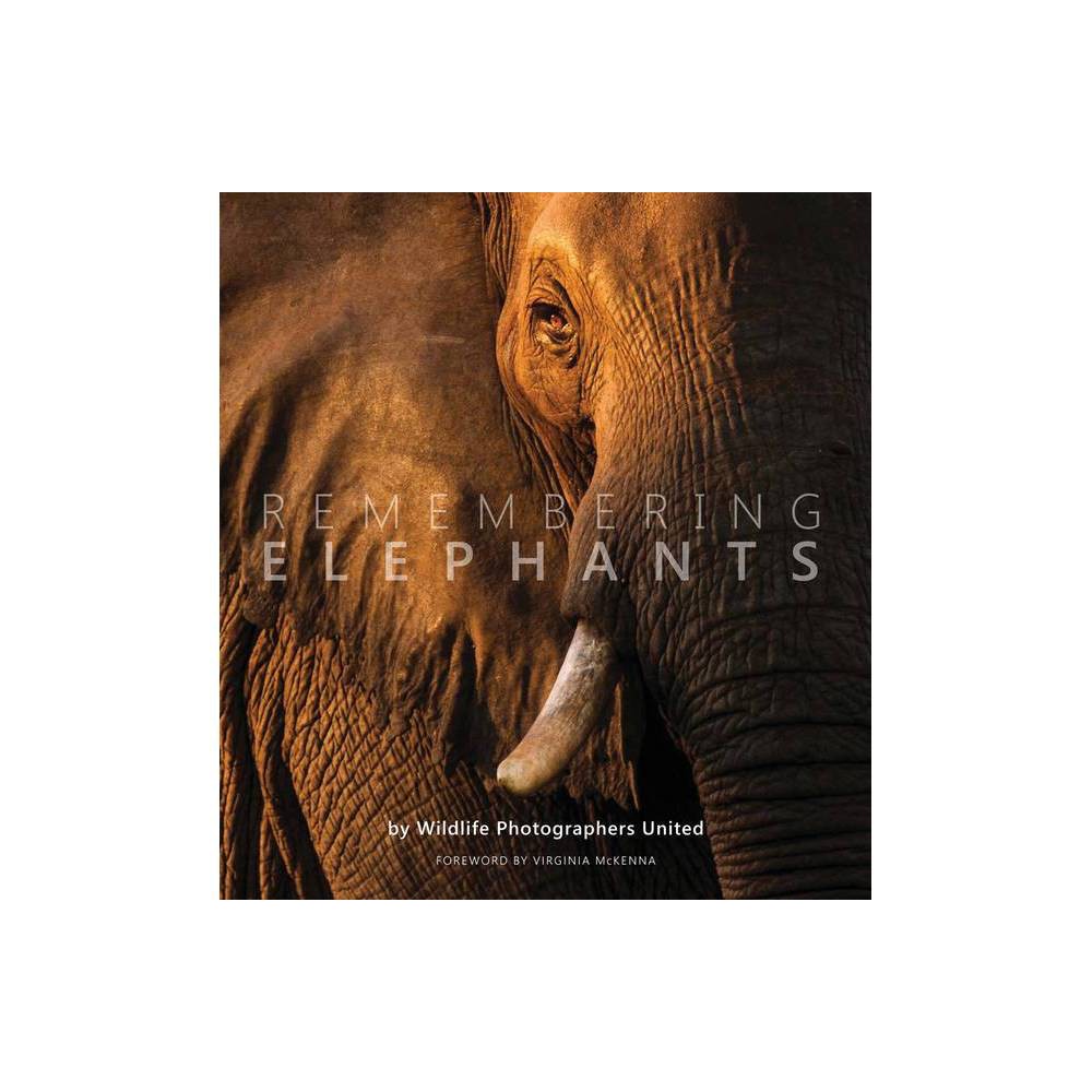 Best elephant gifts: 8 elephant-themed present ideas you can't resist -  Discover Wildlife