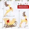 Costway 3PCS Christmas Lighted Reindeer Sleigh Set with 280 White LED Lights Ground Stakes - 3 of 4
