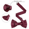 Allegra K Men's Business Causal Matching Pocket Squares Pre-Tied Bow Tie Sets - 2 of 4