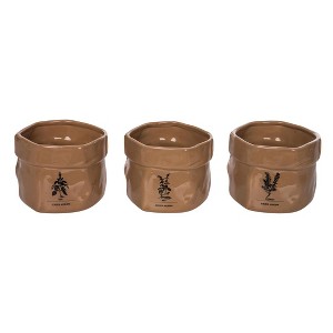 Transpac Ceramic Herb Seed Bag Set of 3 Home Decorations Spring - 1 of 1