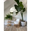 Nordlys Natural Rattan and Beige Fabric Armchair Exotic Boho Upholstery Living Room - 2 of 4