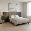 HomeRoots Dark Gray Tufted Velvet Upholstered Lighted Full Bed Frame - 2 of 4