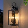 C Cattleya 19in.3-Light Matt Black Outdoor Wall Lantern with Seeded Glass and E12 Base Socket - 2 of 4