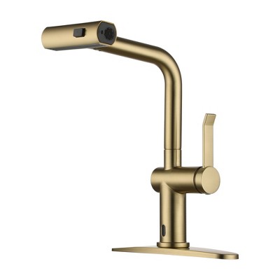 CASAINC Single Handle Pull Down Sprayer Kitchen Faucet with 3 Functions Spray