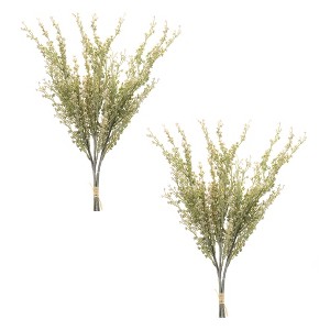 Melrose Mini Seed Pod Bundle (Set of 2) - 1 of 3