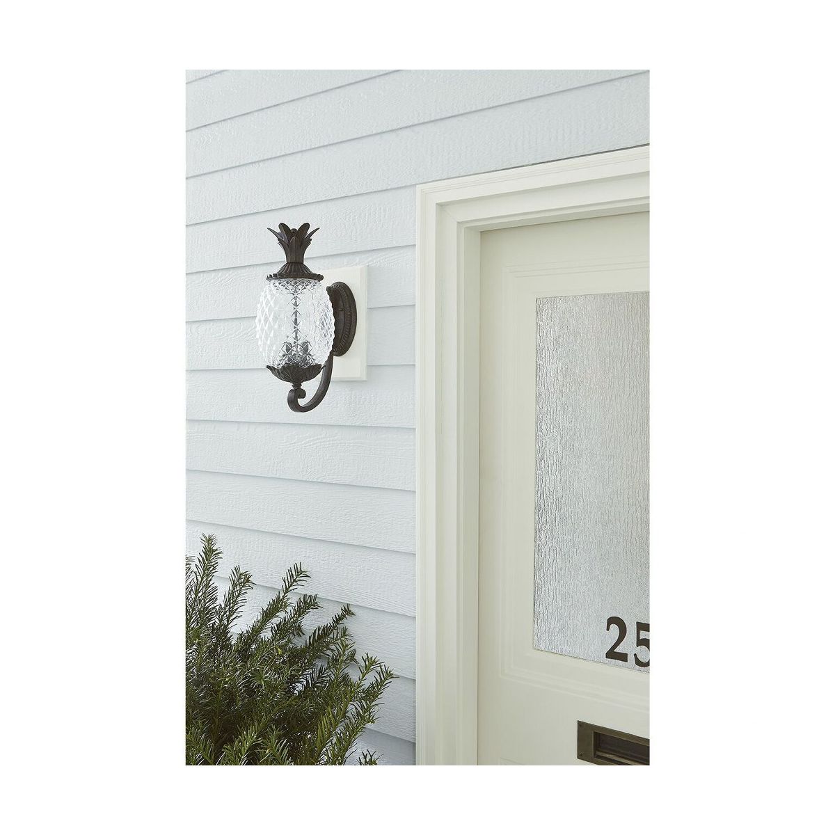 Acclaim Lighting Lanai 2 - Light Wall Light in Black Coral - thumbnail 3