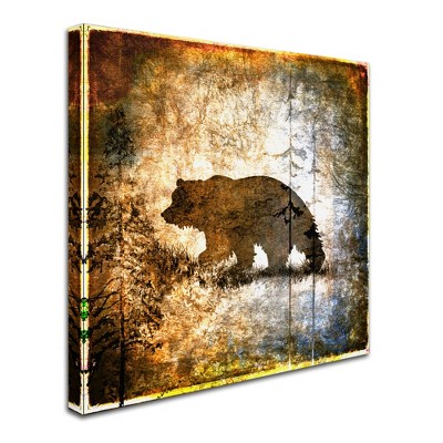 Trademark Fine Art -LightBoxJournal 'High Country Bear' Canvas Art