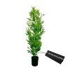 Cypress & Alabaster | 6' Realistic Artificial Bamboo Plant In Home Basics Starter Pot For Home Décor Or Office - 2 of 4
