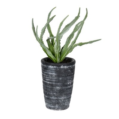 Vickerman 11" Artificial Green Gray Potted Haworthia.