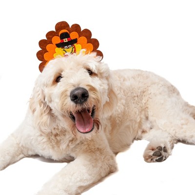 turkey dog toy petsmart