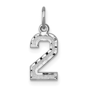 Black Bow Jewelry 14k White Gold, Varsity Collection, Small D/C Pendant, Number 2 - 1 of 4