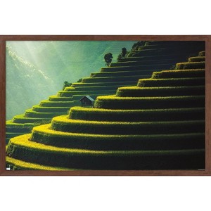 Trends International Wonders of the World - Terraced Rice Fields Framed Wall Poster Prints - 1 of 4