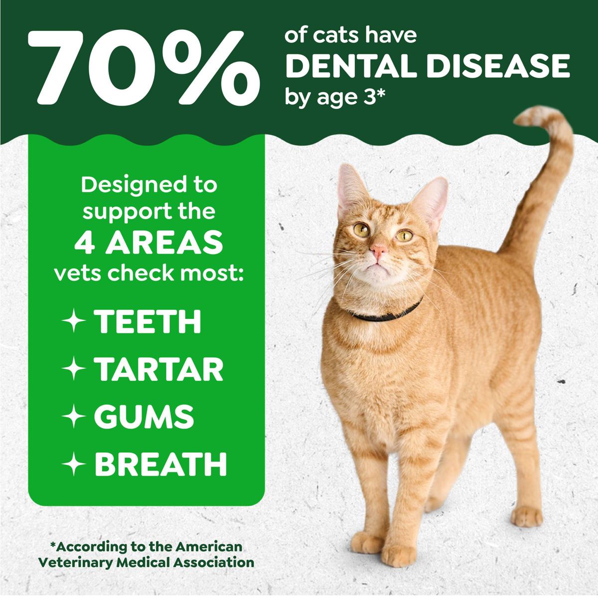 Greenies Catnip Flavor Dental Cat Treats - thumbnail 5