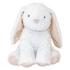 Sammy & Lou Cottontail Cloud Baby Nursery Crib Bedding Set - 4pc - 3 of 4