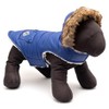The Worthy Dog Park City Puffer Hoodie Jacket - 3 of 3