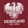 Men's University of Chicago Official Distressed Primary Logo T-Shirt - 2 of 4