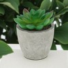 Unique Bargains Artificial Plants Small Graptopetalum in Mini Pulp Plastic 2.76"x2.76"x2.95" 1 Pc - 2 of 4