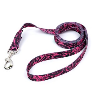 Country Brook Petz 4 Foot Dog Leash - Attitude Collection - 1 of 4