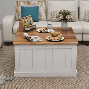 VYNXARIA 31.5" Farmhouse Coffee Table, Square Wood Center Table with Hinged Lift Top, White - 1 of 4