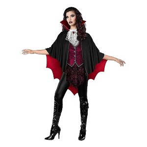 InCharacter Costumes Vampire Pullover Womens Costume - 1 of 1