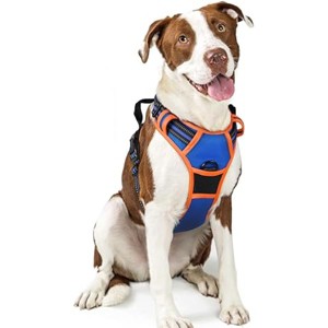 rabbitgoo Dog Harness No Pull with 2 Leash Clips, Control Handle for Large Dogs, Blue & Orange, L - 1 of 1
