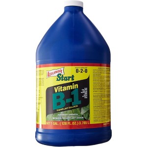 Liquinox Start 0-2-0 Vitamin B-1 Transplant Solution and Root Stimulant, 1 Gallon - 1 of 1