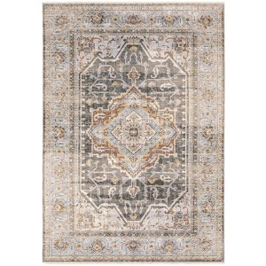 Captiv8e Designs Maximillian Traditional Distressed Medallion Gray/Blue Area Rug - 1 of 4
