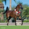 Breyer: Horses The Traditional Series - RD Marciea Bey, Champion Arabian - 4 of 4
