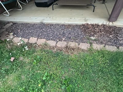 Guest review image 1 of 4, zoom in