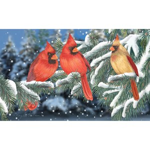 Briarwood Lane Winter Doormat 30x18 Indoor Outdoor Winter Cardinal Trio For Winter Doormat - 1 of 4
