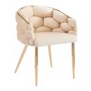 NicBex Velvet  Accent Chair with Gold Legs,Modern Arm Chairs for Bedroom,Reading Room,1pc/2pc - 4 of 4