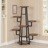 MAYEERTY Corner Plant Stand Indoor, 6 Tiered Plant Shelf Flower Stand - 2 of 4