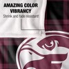 Fairmont State University Campus Plaid Spirit Silky Touch Super Soft Throw Blanket 50x60 - 4 of 4