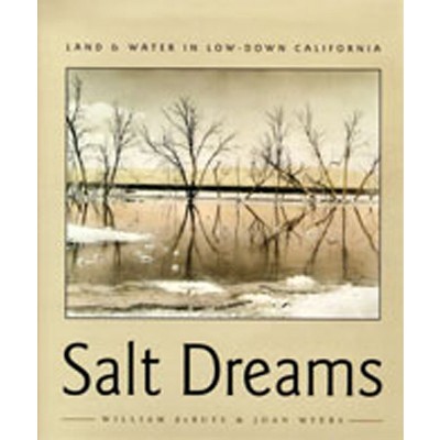 Salt Dreams - by  William Debuys (Paperback)
