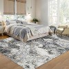 Acekool Washable Abstract Area Rug, Non-Slip Ultra Thin Low Pile Carpet for Living Room Bedroom Office, Lightweight Foldable, Easy Care - 3 of 4