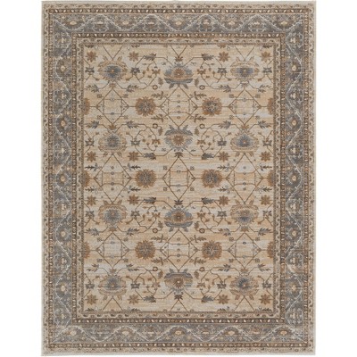 Celene Traditional Bordered Tan/Ivory/Gray Area Rug