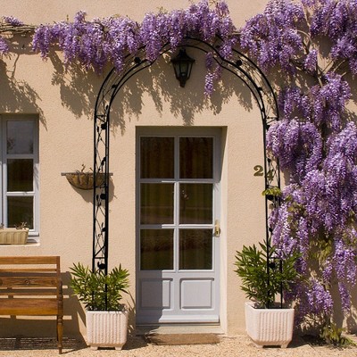 Rust-proof Metal Galvanized Pipe Garden Arch, Assemble Freely with Muti-Styles, Garden Arbor Trellis Climbing Plants Arch, Wedding Arch, Black