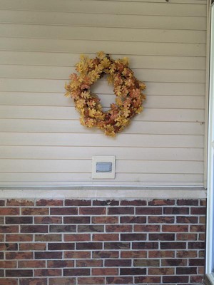 Guest review image 1 of 2, zoom in